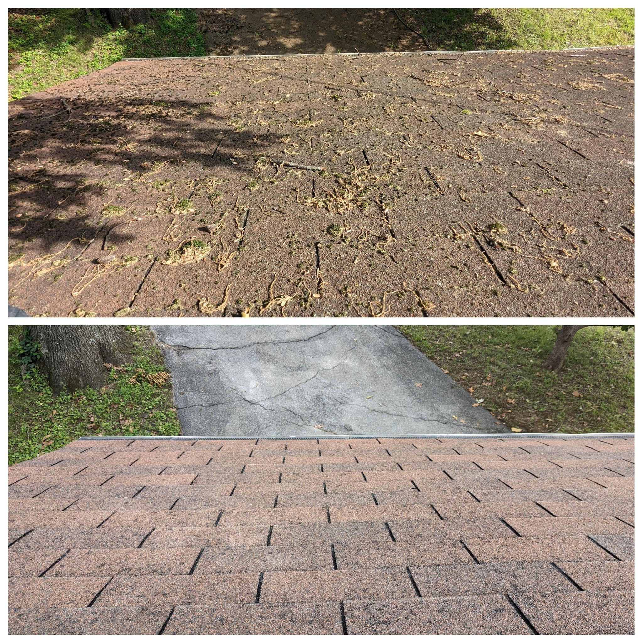 Exquisite Roof Cleaning job done in Kodak, Tennessee